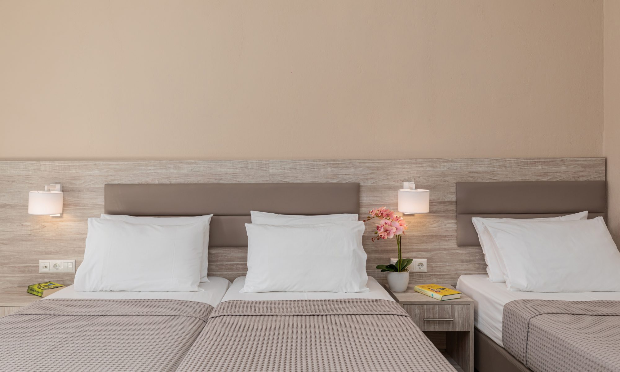 Hotel Grekas